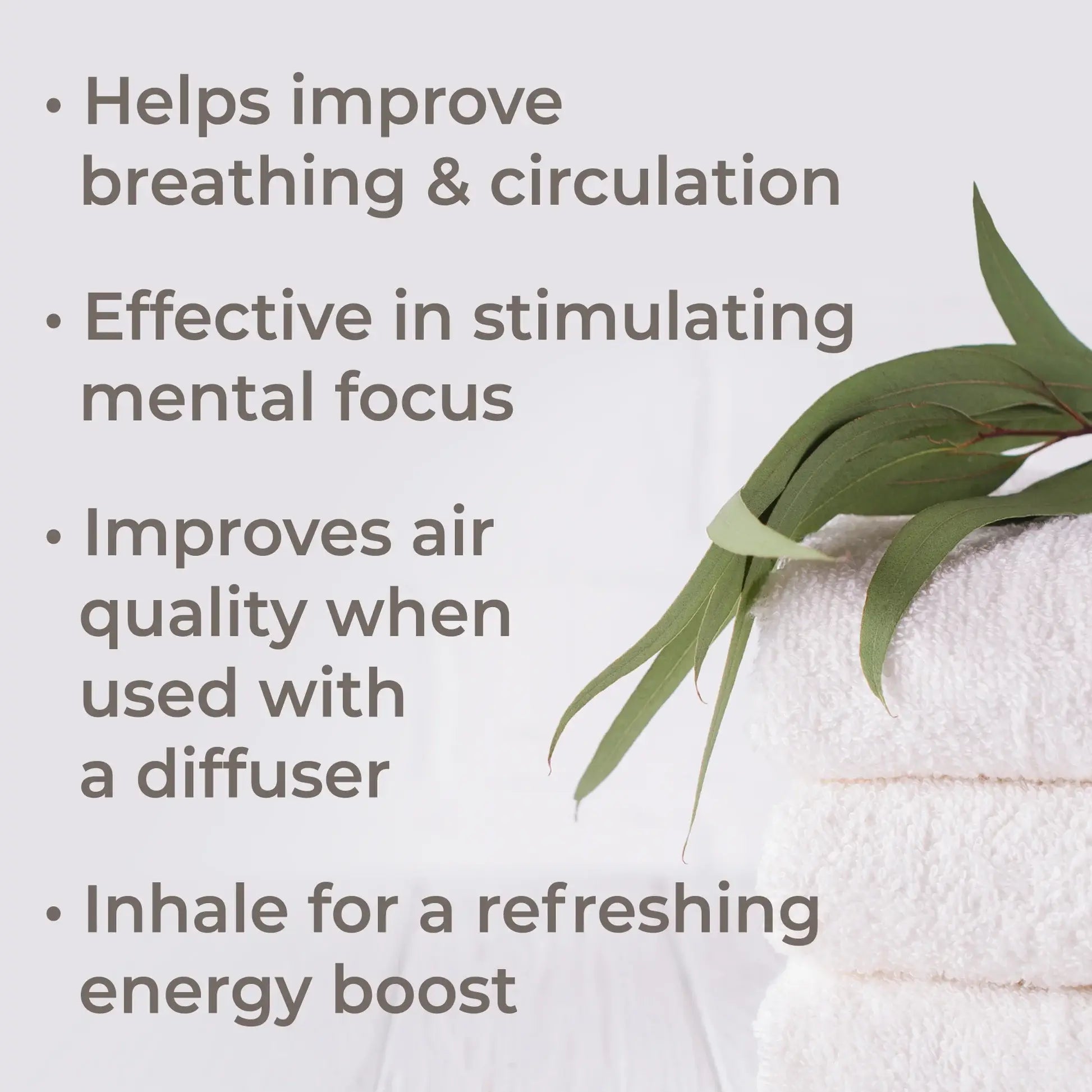 Plant Therapy Organic Eucalyptus Globulus Essential Oil 10 mL
