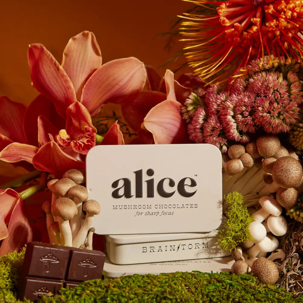 Alice Mushroom Chocolates for Focus & Energy squares