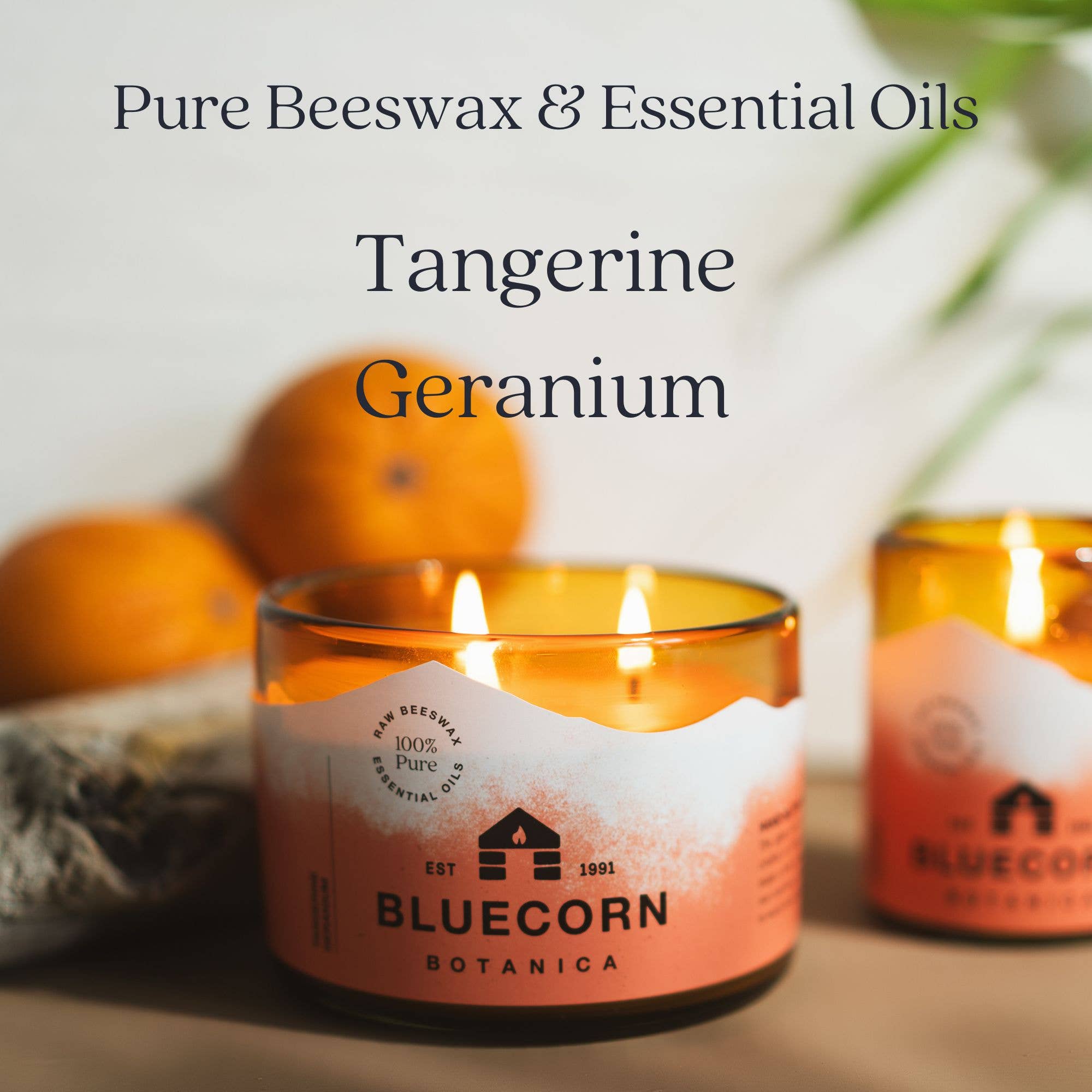 Bluecorn Scented Beeswax Candles - Pure Essential Oils - Blown Glass
