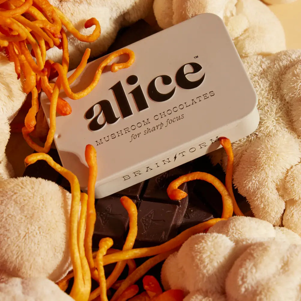 Alice Mushroom Chocolates for Focus & Energy squares