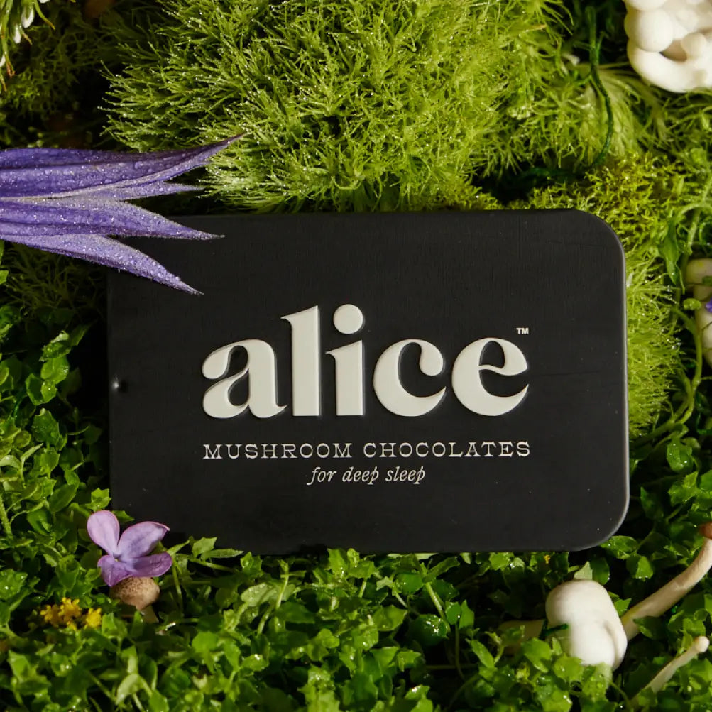 Alice Mushroom Chocolates for Deep Sleep squares