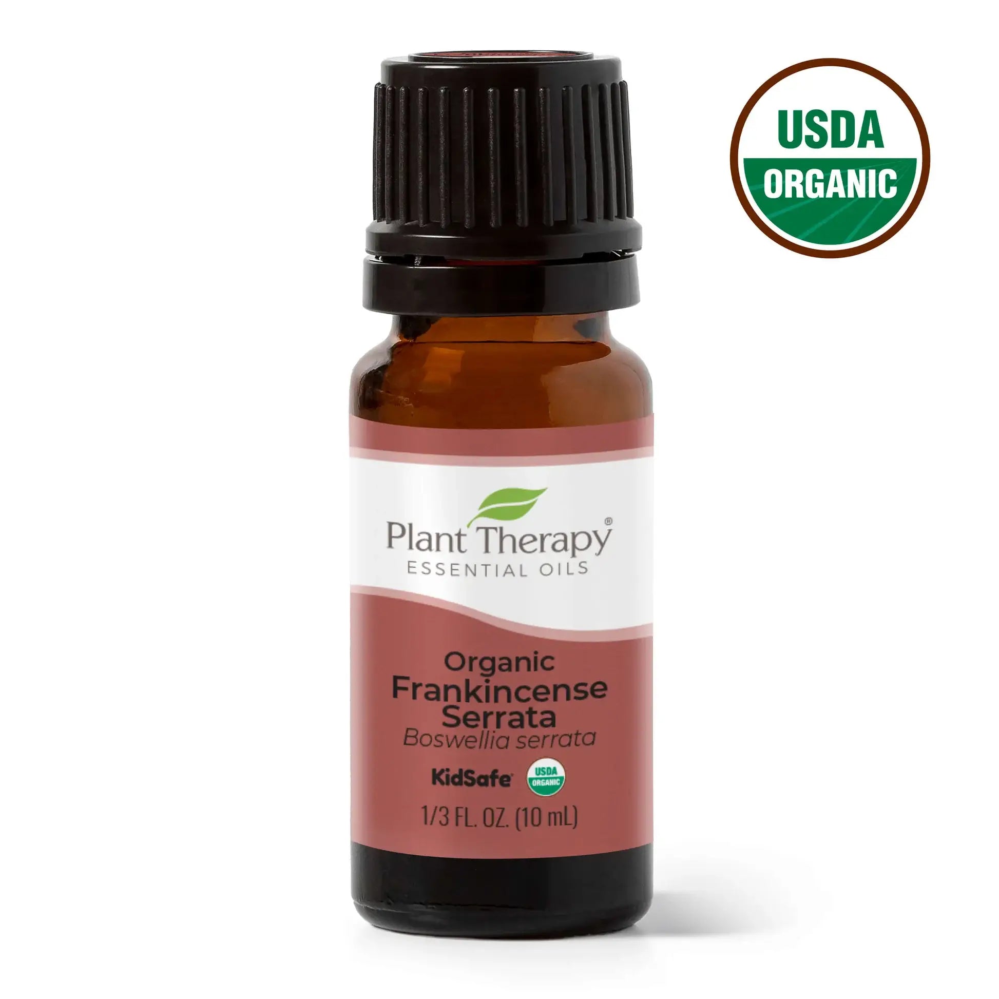 Plant Therapy Organic Frankincense Serrata Essential Oil 10 mL