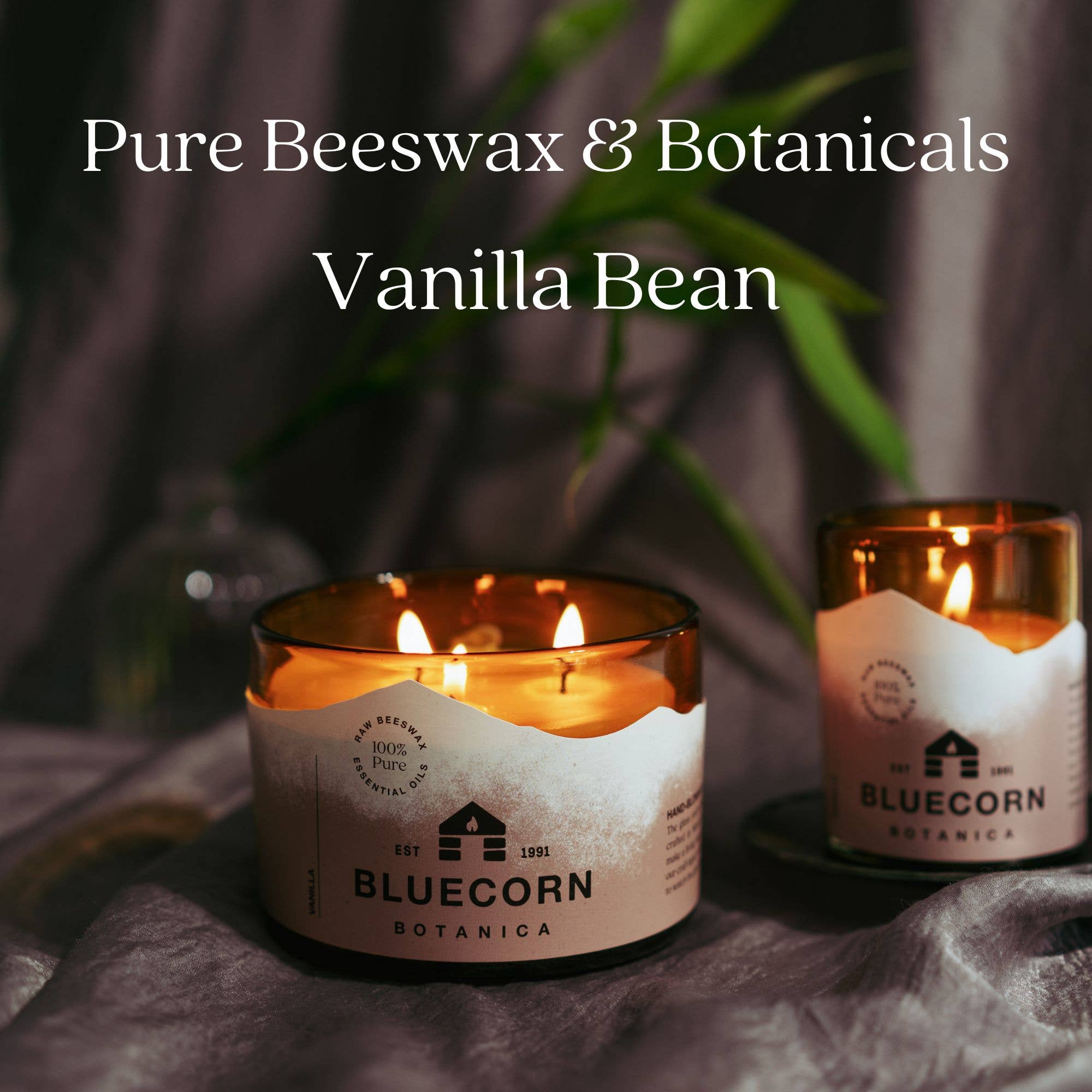 Bluecorn Scented Beeswax Candles - Pure Essential Oils - Blown Glass