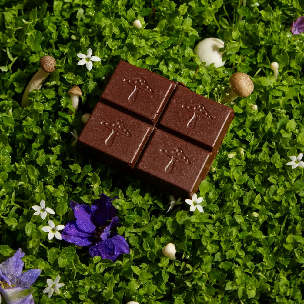 Alice Mushroom Chocolates for Deep Sleep squares
