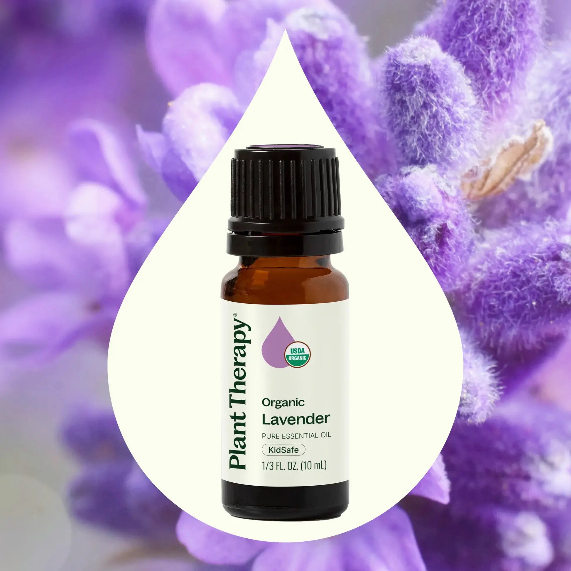 Plant Therapy Organic Lavender Essential Oil 10 mL