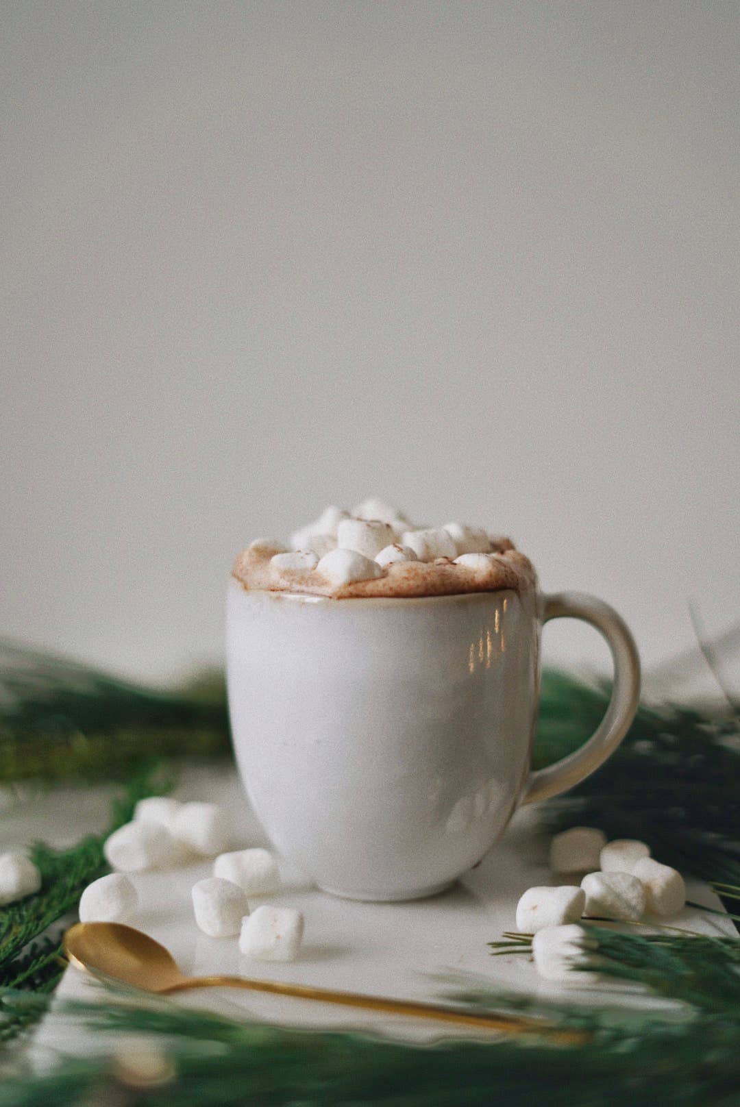 Lake & Oak Super Cocoa - Superfood Latte Blend