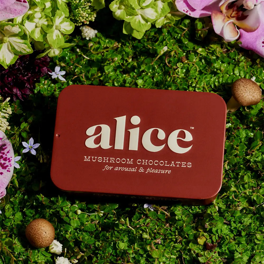 Alice Mushroom Chocolates for Arousal & Pleasusre Squares