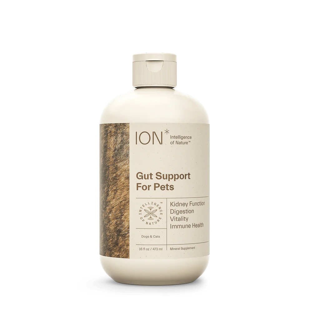 Ion Gut Support for Pets 8 fl oz