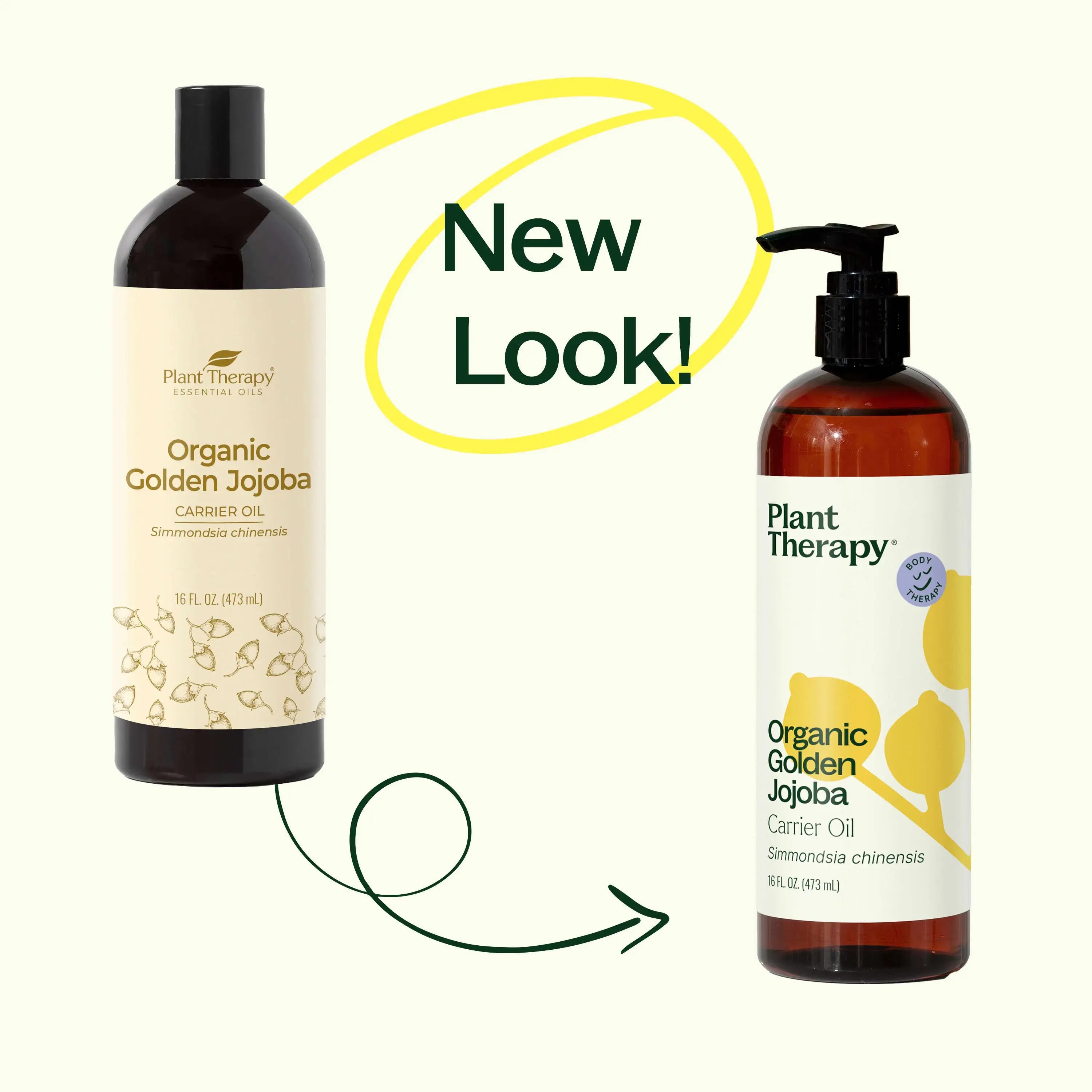 Plant Therapy Organic Plant Therapy Golden Jojoba Carrier Oil 16 oz