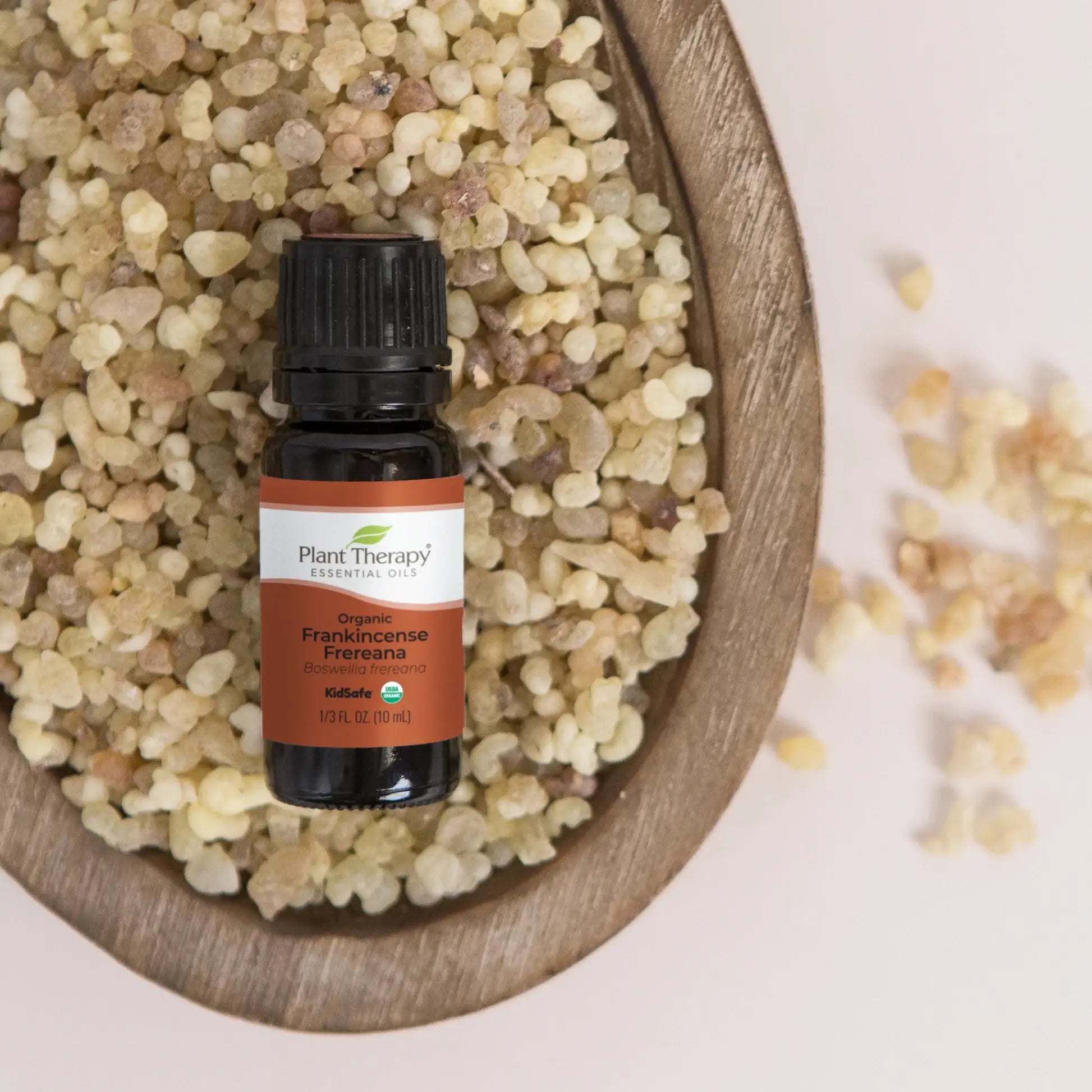 Plant Therapy Organic Frankincense Frereana Essential Oil 10 mL