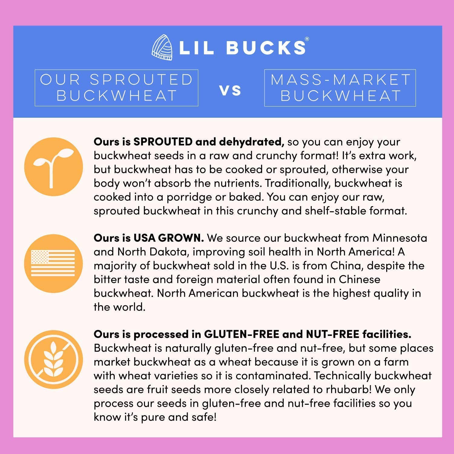 Lil Bucks Clusterbucks Gut Friendly Granola - Snickerdoodle 6oz