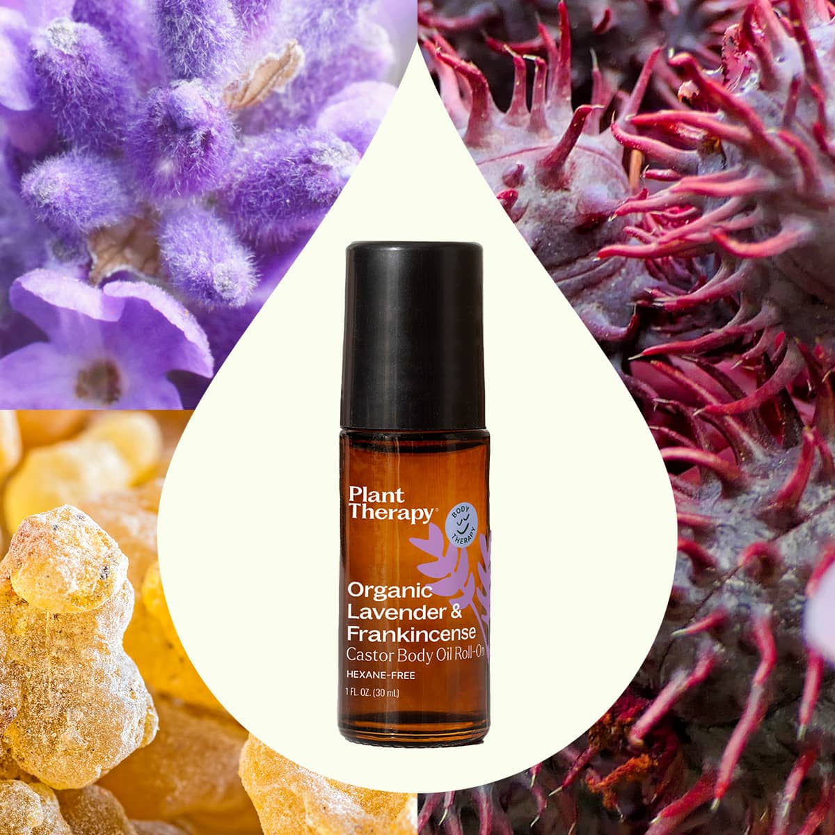 Plant Therapy Organic Lavender & Frankincense Castor Body Oil Roll-On 30ml