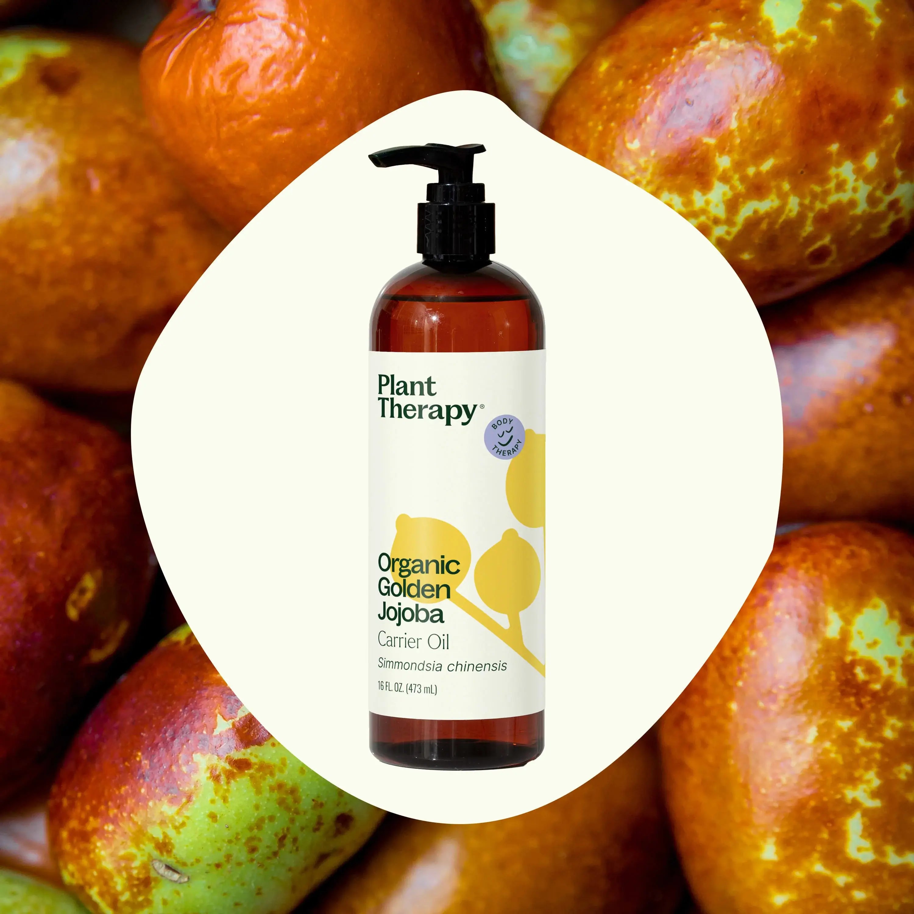 Plant Therapy Organic Plant Therapy Golden Jojoba Carrier Oil 16 oz