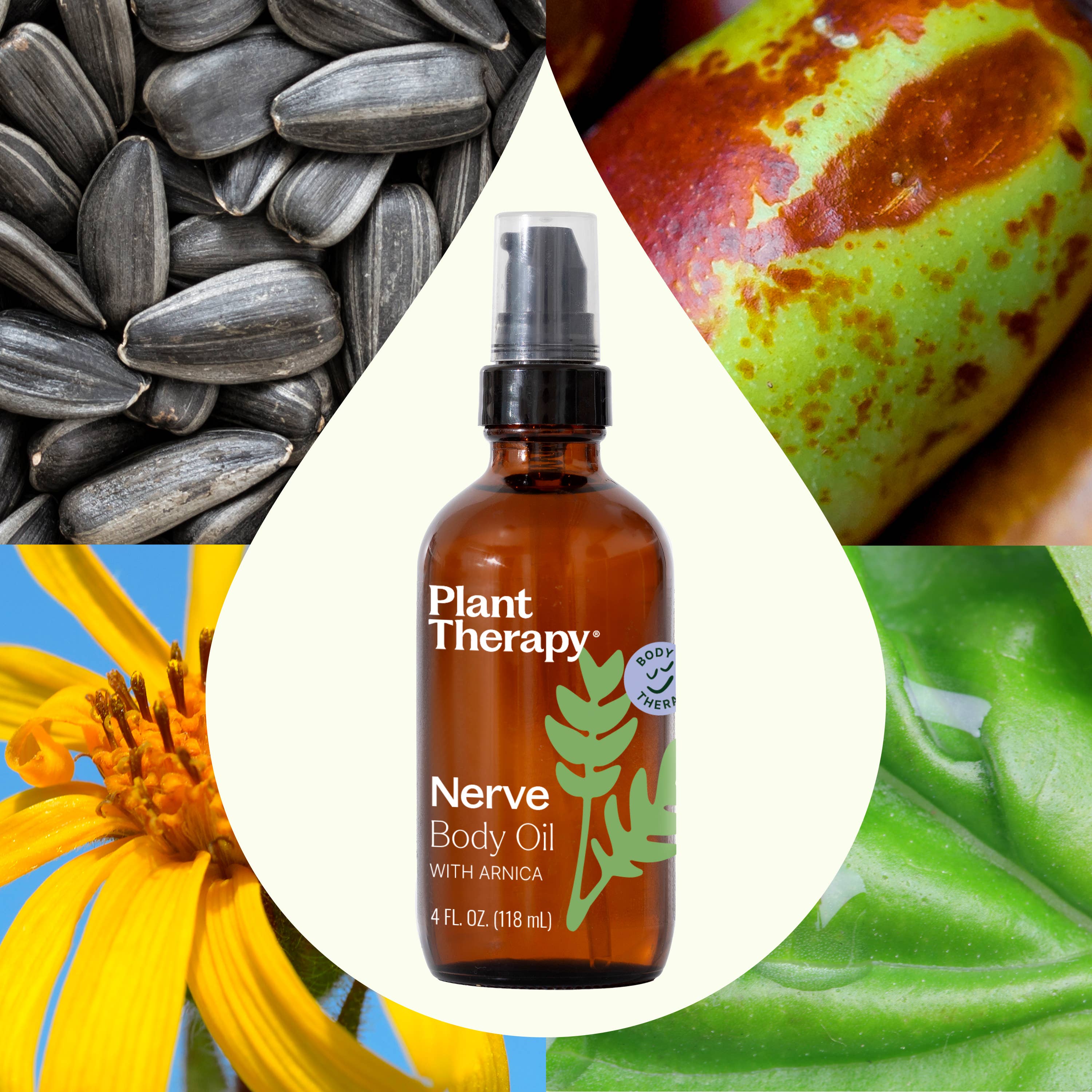 Plant Therapy Nerve Body Oil with Arnica