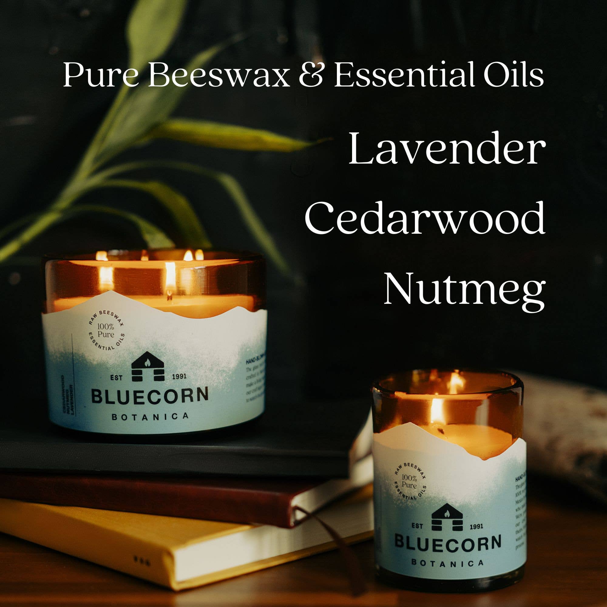 Bluecorn Scented Beeswax Candles - Pure Essential Oils - Blown Glass