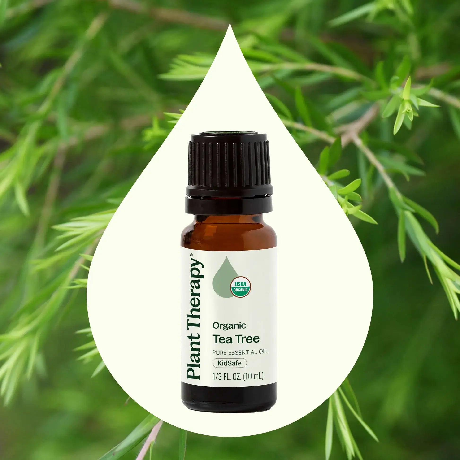Plant Therapy Organic Tea Tree Essential Oil 10 mL
