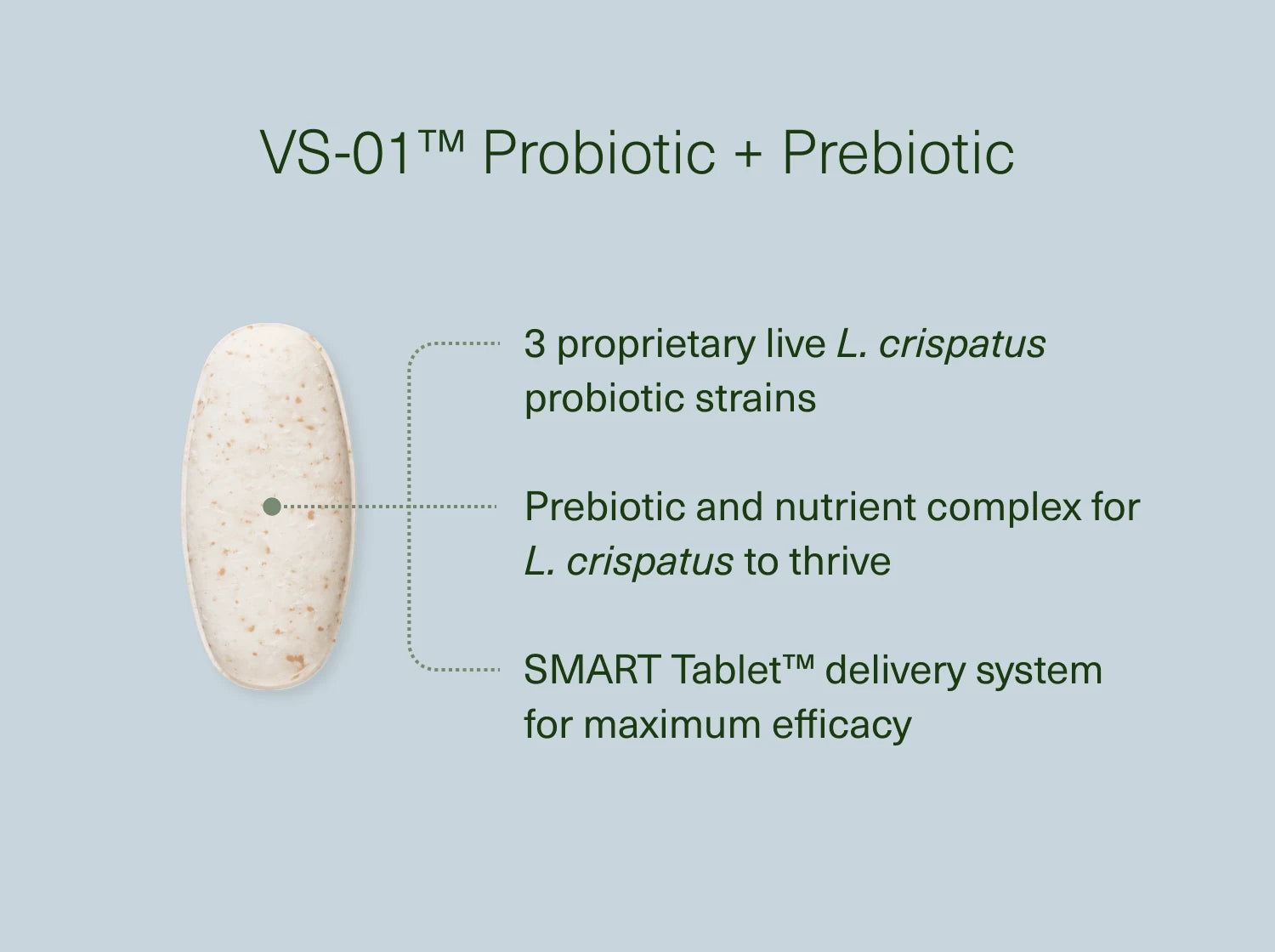 Seed VS-01 Vaginal Synbiotic 2 Month Starter Kit
