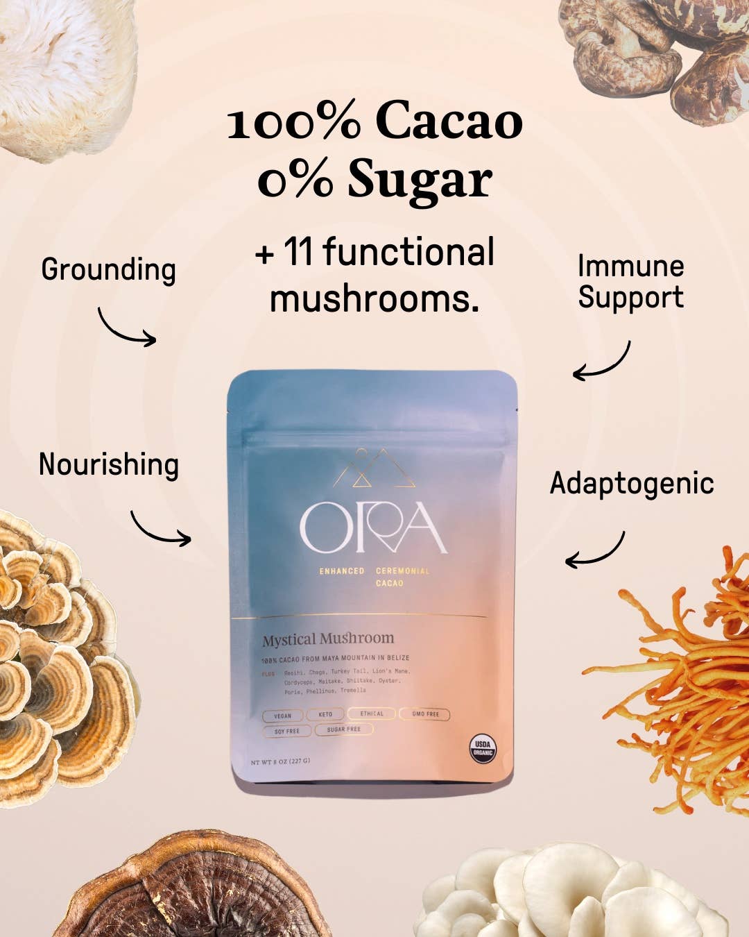 Mystical Mushroom Cacao - Organic Ceremonial Chocolate