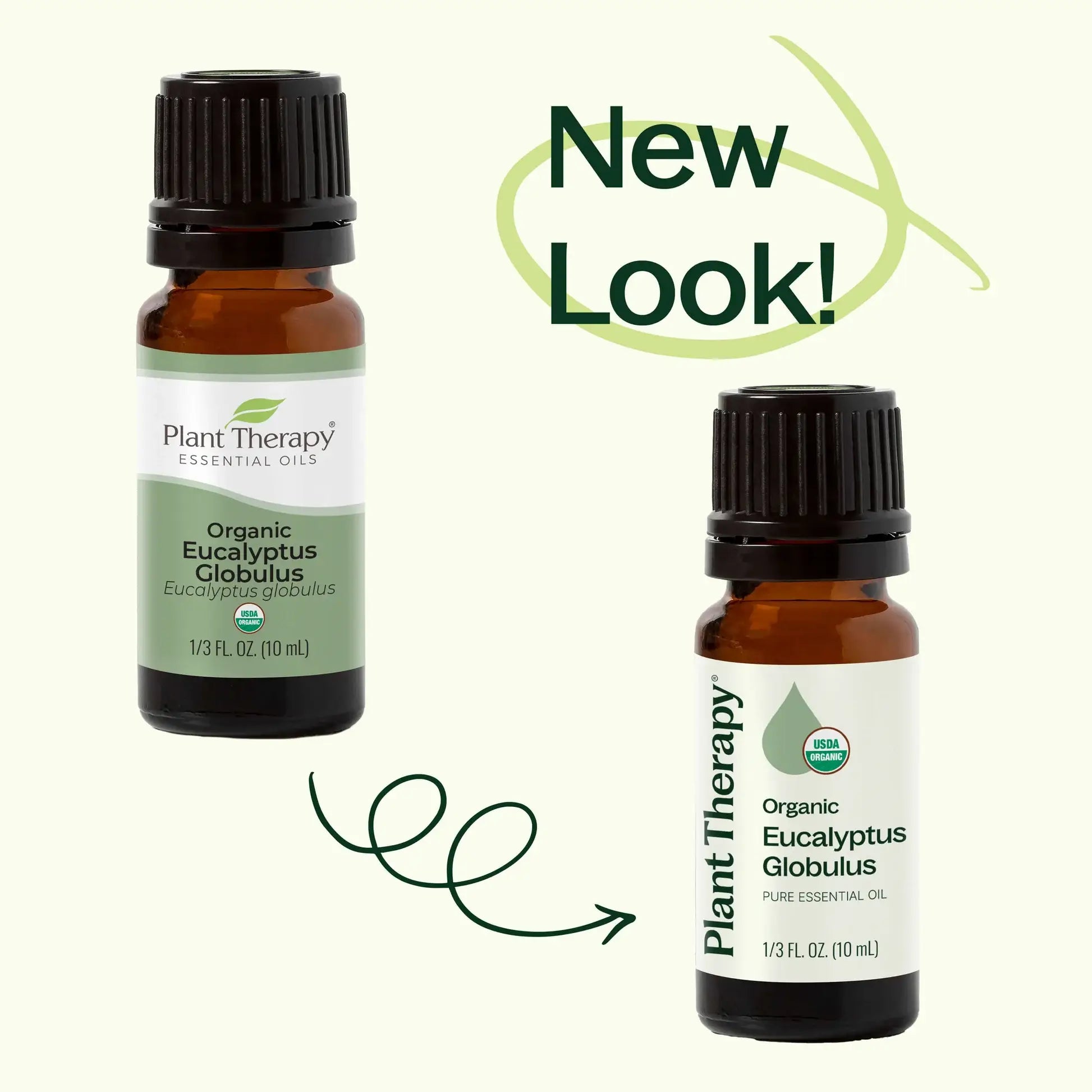 Plant Therapy Organic Eucalyptus Globulus Essential Oil 10 mL