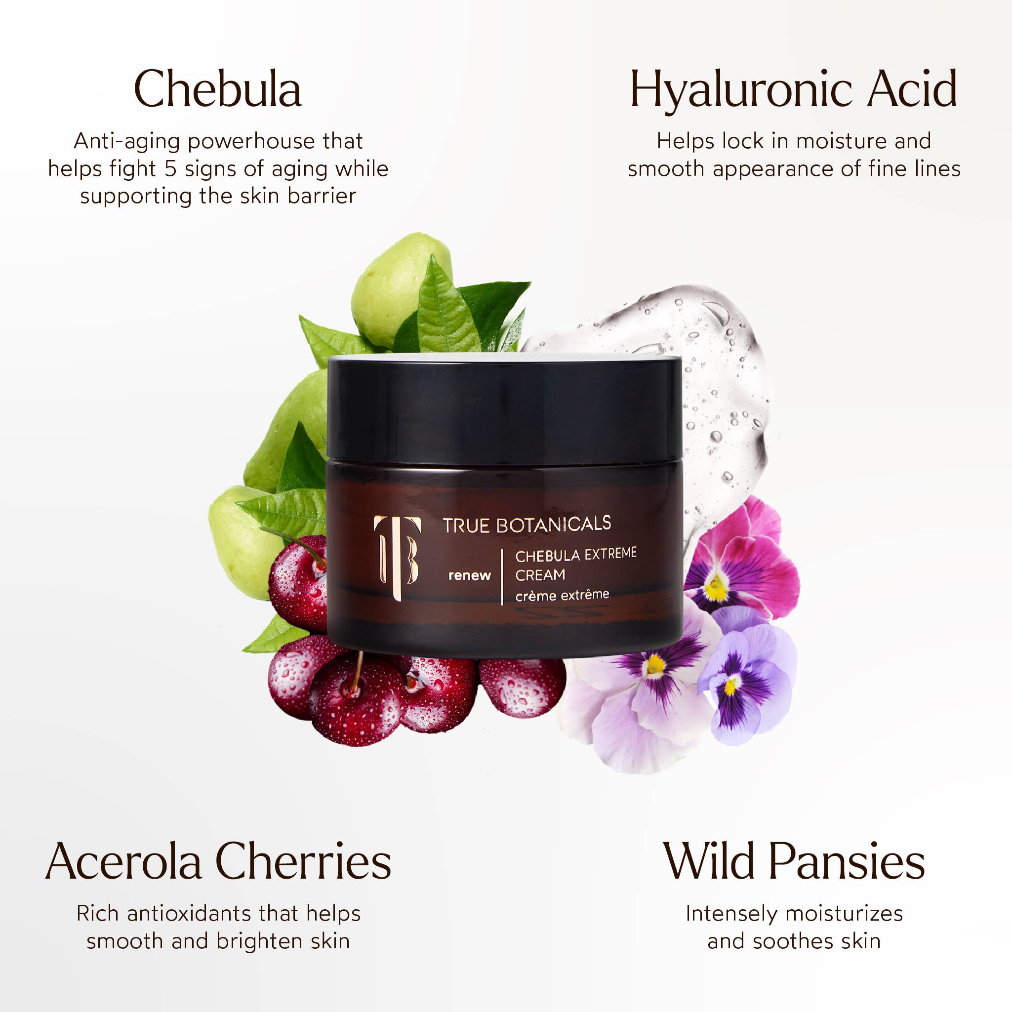 Anti-True Botanicals Aging Chebula Extreme Cream